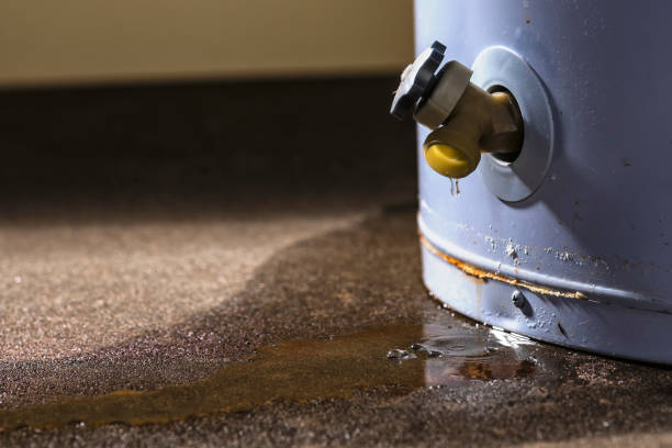 Best Water damage restoration mold remediation  in Sylvania, OH