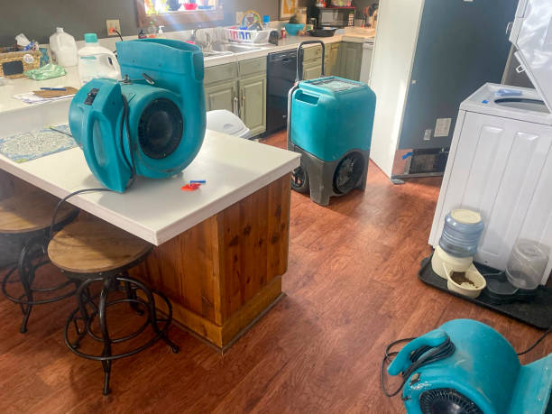 Best Emergency water damage restoration  in Sylvania, OH