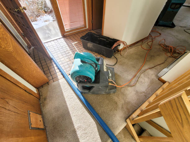 Best Water damage restoration near me  in Sylvania, OH