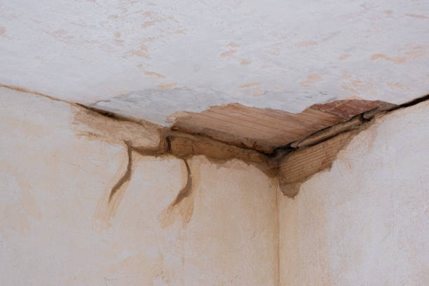Best Local water damage restoration  in Sylvania, OH