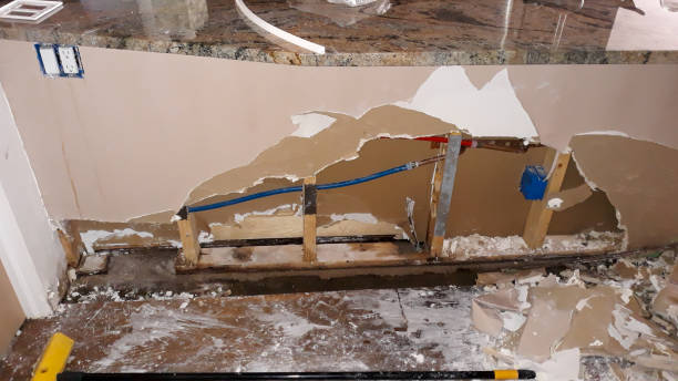 Best Professional water damage repair  in Sylvania, OH