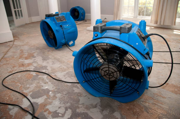 Trusted Sylvania, OH Water damage restoration Experts