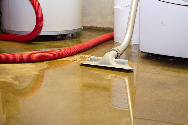 Best Flooded house restoration  in Sylvania, OH