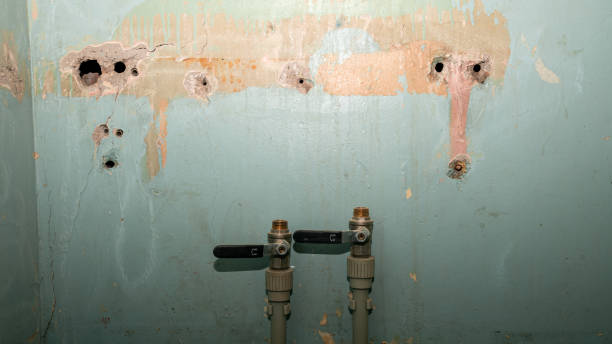 Best Mold removal after water damage  in Sylvania, OH