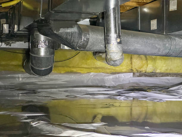 Water damage restoration mold remediation in Sylvania, OH