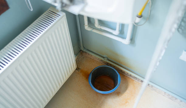 Best Flood restoration services  in Sylvania, OH