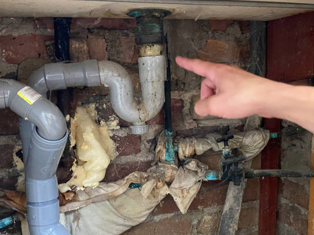 Best Basement water damage restoration  in Sylvania, OH