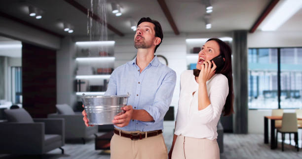 Best Residential water damage restoration  in Sylvania, OH