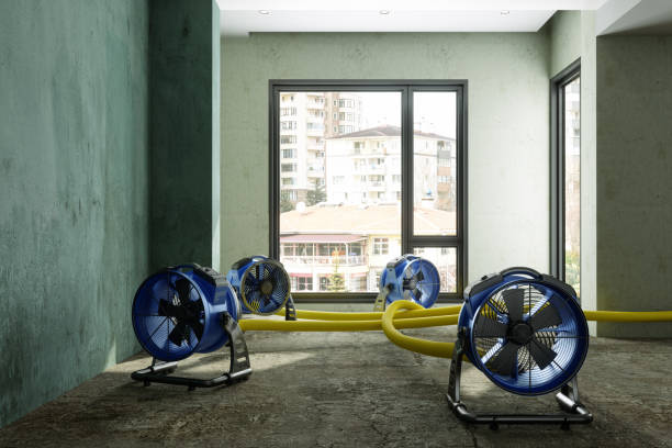 Best Water damage restoration specialists  in Sylvania, OH
