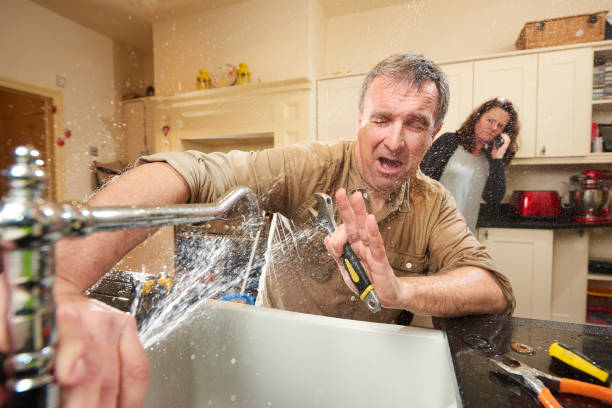 Best 24/7 water damage repair  in Sylvania, OH